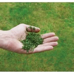 Einhell Benzin-Rasenmäher GC-PM 51/3 S HW-E -GartenOase Wohnaccessoires 171 340487 2171 8073710 08