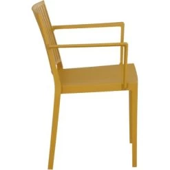 Siena Garden Lane Stapelsessel 56 Cm X 57 Cm X 80 Cm Mustard 18 Siena Garden Lane Stapelsessel 56 Cm X 57 Cm X 80 Cm Mustard -GartenOase Wohnaccessoires 251904 1346 S 8