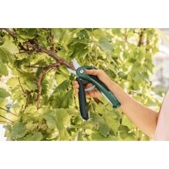 Bosch Akku-Gartenschere EasyPrune -GartenOase Wohnaccessoires 2610319 3058 05