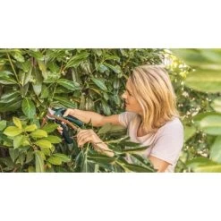 Bosch Akku-Gartenschere EasyPrune -GartenOase Wohnaccessoires 2610319 3058 06