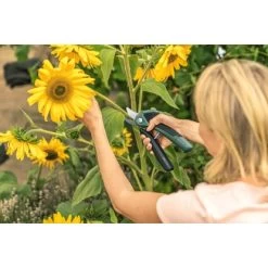 Bosch Akku-Gartenschere EasyPrune -GartenOase Wohnaccessoires 2610319 3058 08