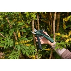 Bosch Akku-Gartenschere EasyPrune -GartenOase Wohnaccessoires 2610319 3058 10