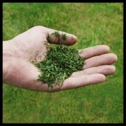 Einhell Power X-Change Akku-Rasenmäher GE-CM 36/48 Li M-Solo 19 Einhell Power X-Change Akku-Rasenmäher GE-CM 36/48 Li M-Solo -GartenOase Wohnaccessoires 4006825660654 2171 07 1