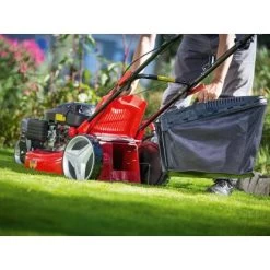 Trike-Rasenmäher B 51/TMA 60 L Fangkorb 2.900 W 16 Trike-Rasenmäher B 51/TMA 60 L Fangkorb 2.900 W -GartenOase Wohnaccessoires 4048122036251 A06 071118