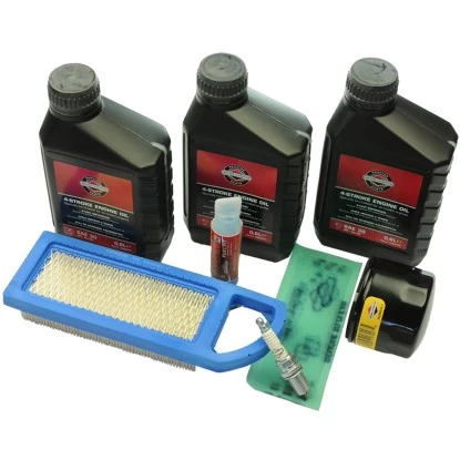Wartungs-Kit Briggs & Stratton 1 Wartungs-Kit Briggs & Stratton
