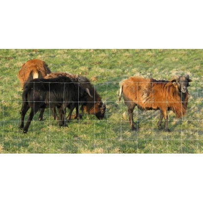 Floraworld Knotengeflecht (L X H) 50 M X 150 Cm Aus Verzinktem Draht 3 Floraworld Knotengeflecht (L X H) 50 M X 150 Cm Aus Verzinktem Draht – Bild 3