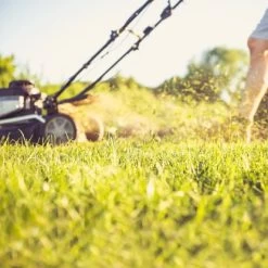 Aspen 4-Takt-Gemisch Sonderkraftstoff 25 L -GartenOase Wohnaccessoires 7330045970055 3467 A 03