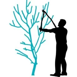 Gardena Astschere Premium 700 Bypass 40 Mm Schnittstärke 27 Gardena Astschere Premium 700 Bypass 40 Mm Schnittstärke -GartenOase Wohnaccessoires 768040 3050 12