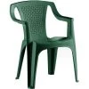 Gartenstuhl Luna Kunststoff Grün