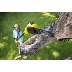 Kärcher Akku-Teleskop-Astsäge PSW 18-20 Battery -GartenOase Wohnaccessoires 944647 2294 9
